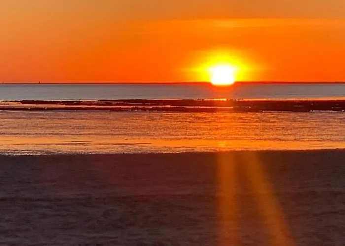 Apartamento Cosy Avec Mezzanine, Proche Et Commerces - - Fr-1-706-29